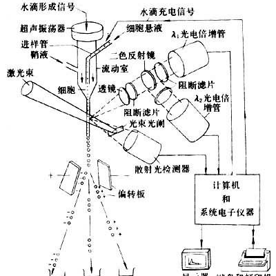 https://msimg.bioon.com/bionline/goods-no-pic.png