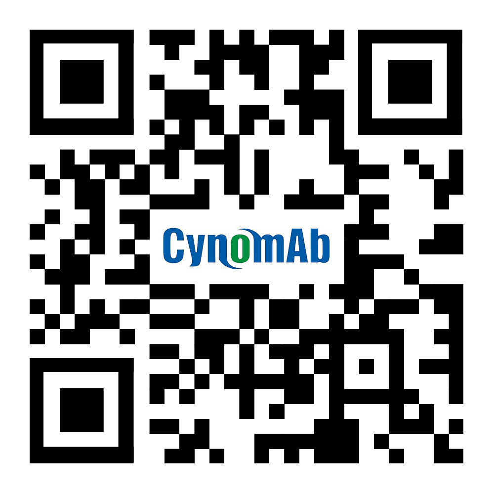 合肥赛诺克生物技术有限公司