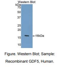 https://msimg.bioon.com/bionline/goods-no-pic.png