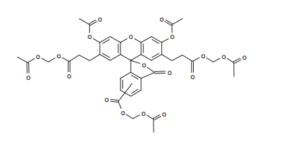 pH荧光探针BCECF, AM CAS 117464-70-7