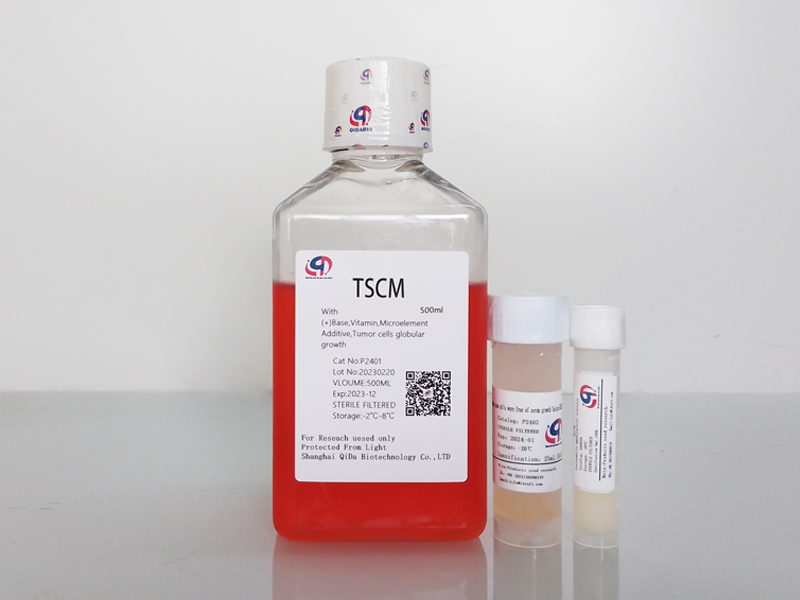 肿瘤干细胞成球培养基-无血清 (TSCM - Serum Free)