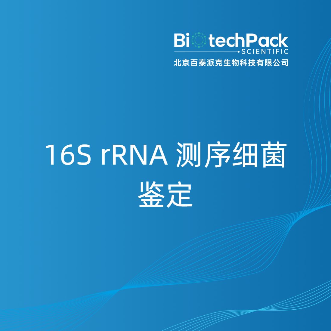 16S rRNA 测序细菌鉴定