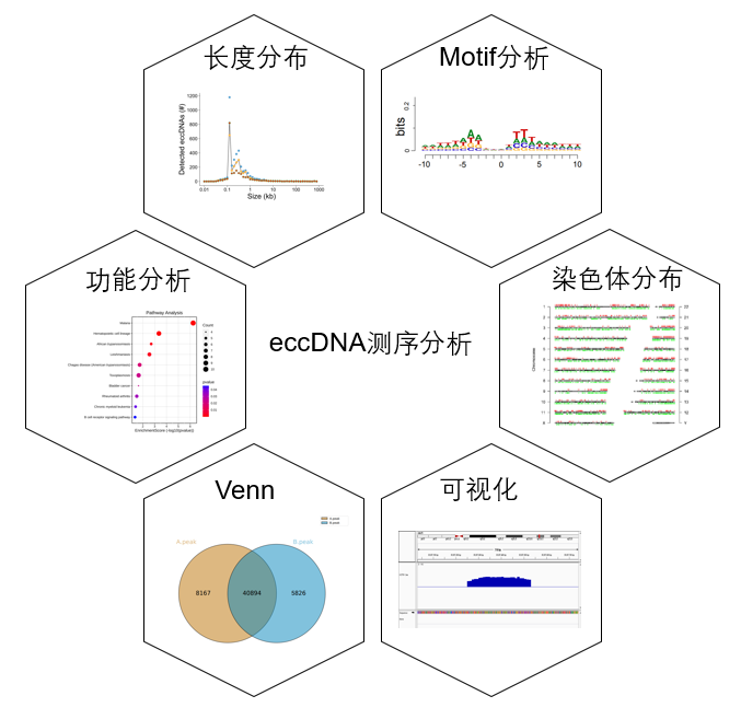 https://msimg.bioon.com/bionline/goods-no-pic.png