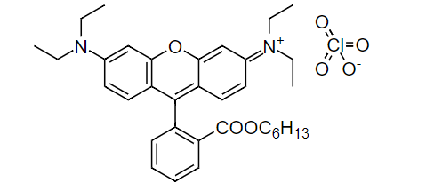 https://img.medsci.cn/e73eefcea40976357f460123cbf1e819c54e5106c9b457225be13b1cbc991aff.png