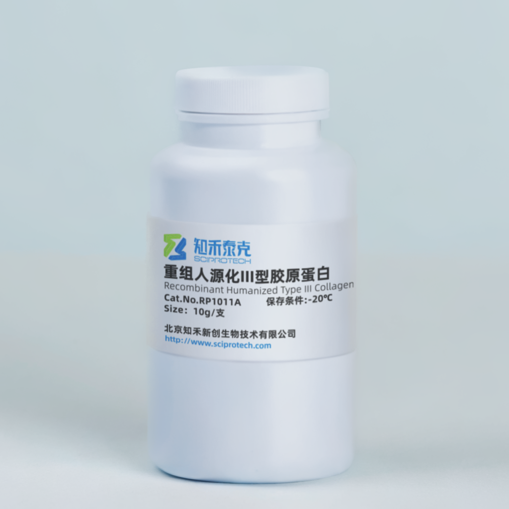重组人源化III型胶原蛋白（10.4Kd