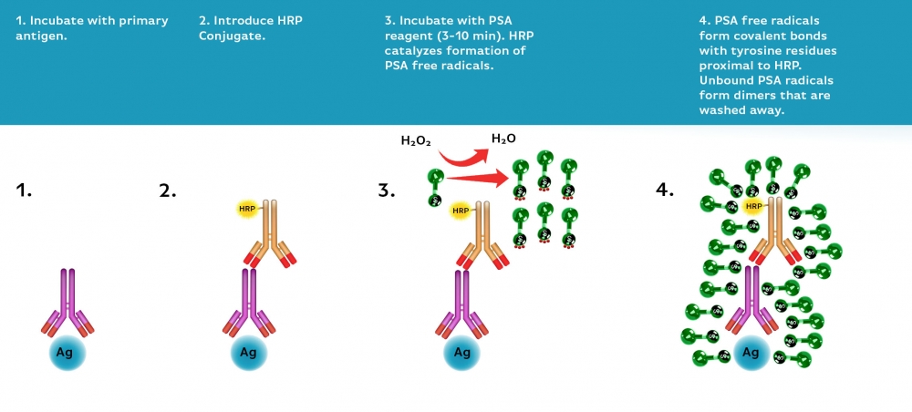 https://img.medsci.cn/e73eefcea40976357f460123cbf1e819c54e5106c9b457225be13b1cbc991aff.png