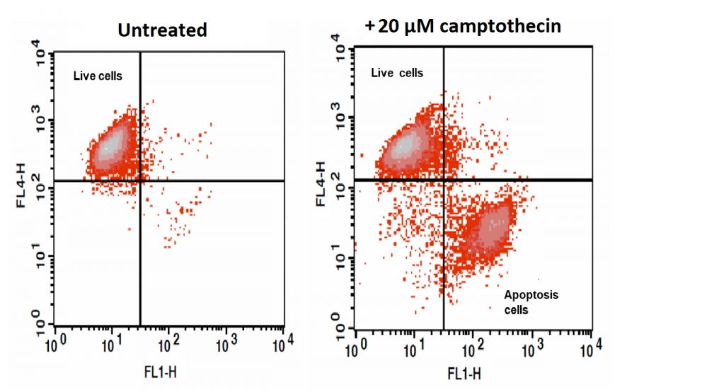 https://img.medsci.cn/e73eefcea40976357f460123cbf1e819c54e5106c9b457225be13b1cbc991aff.png