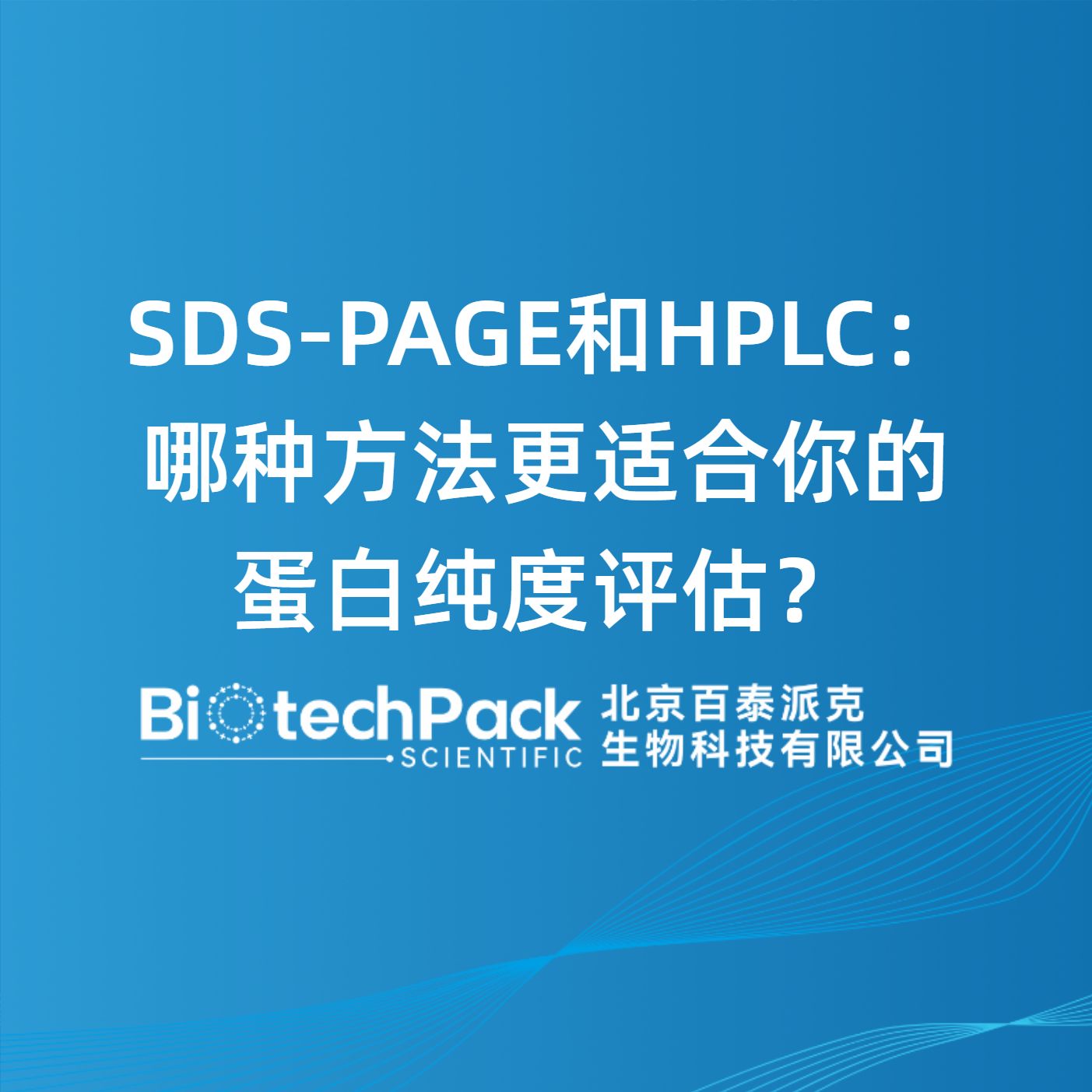 SDS-PAGE和HPLC：哪种方法更适合你的蛋白纯度评估？
