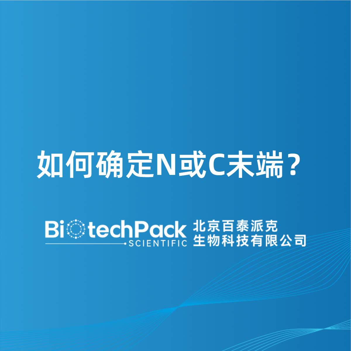 如何确定N或C末端？