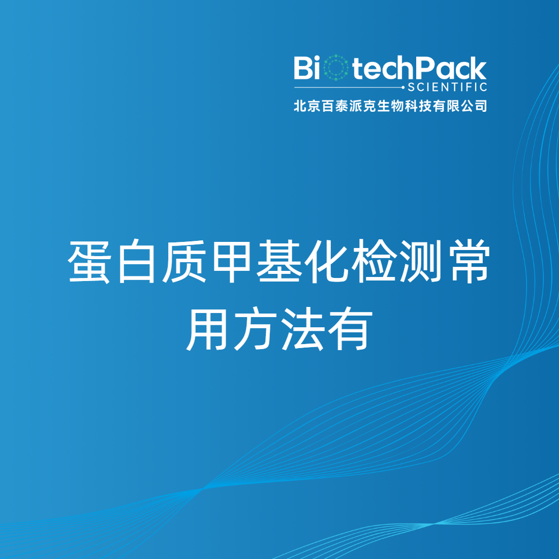 蛋白质甲基化检测常用方法有