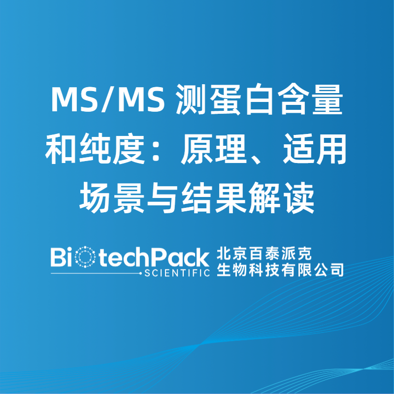 MS/MS 测蛋白含量和纯度：原理、适用场景与结果解读