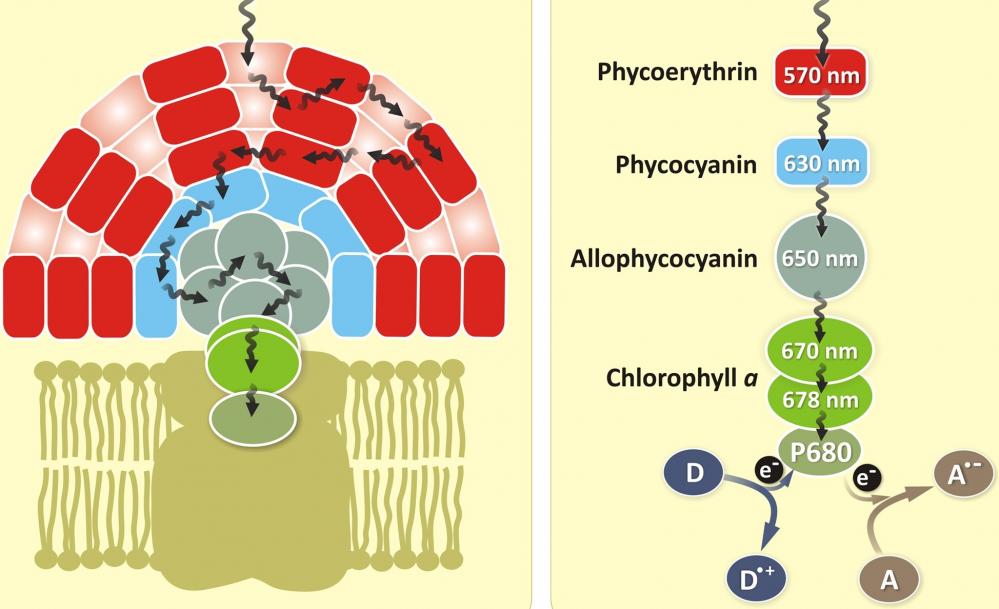 https://img.medsci.cn/e73eefcea40976357f460123cbf1e819c54e5106c9b457225be13b1cbc991aff.png