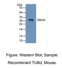 https://msimg.bioon.com/bionline/goods-no-pic.png