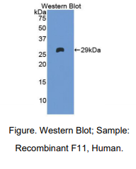 https://msimg.bioon.com/bionline/goods-no-pic.png