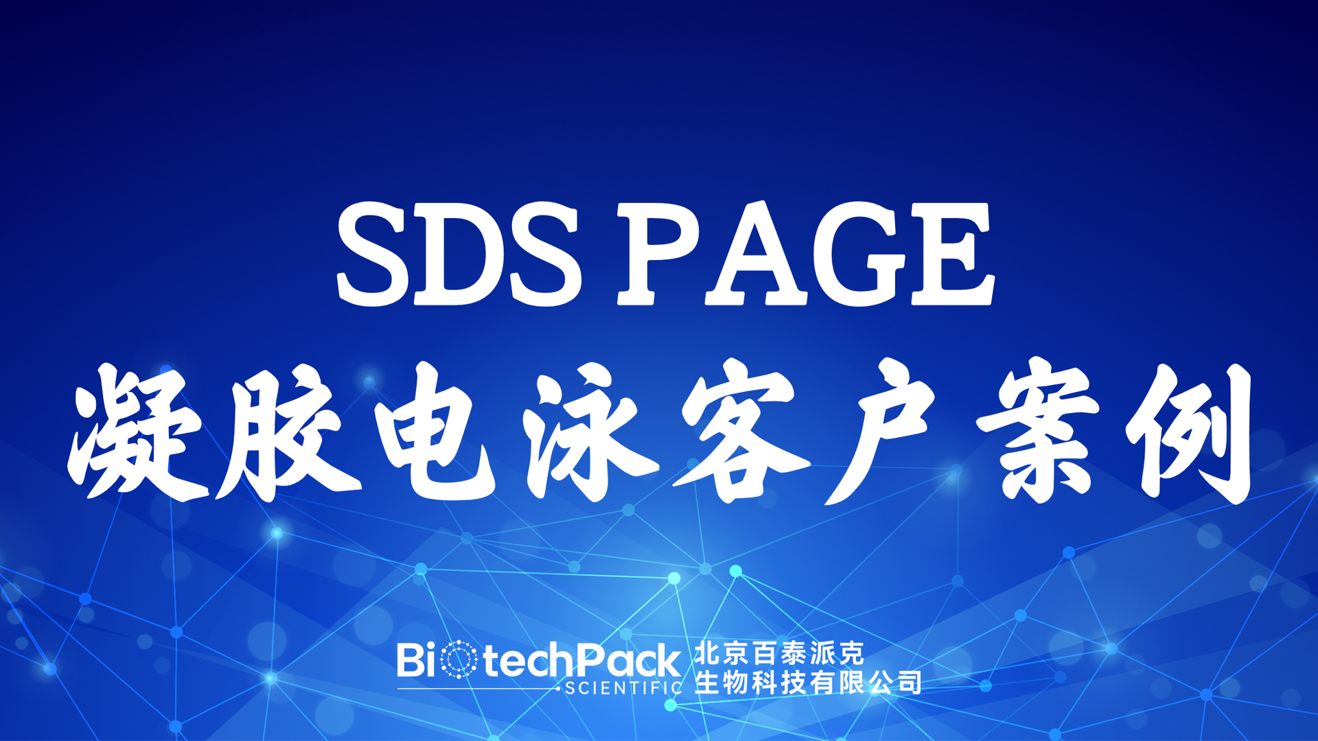 百泰派克生物科技：SDS PAGE凝膠電泳客戶案例