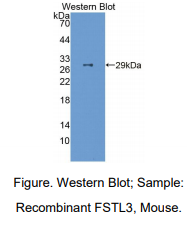 https://msimg.bioon.com/bionline/goods-no-pic.png