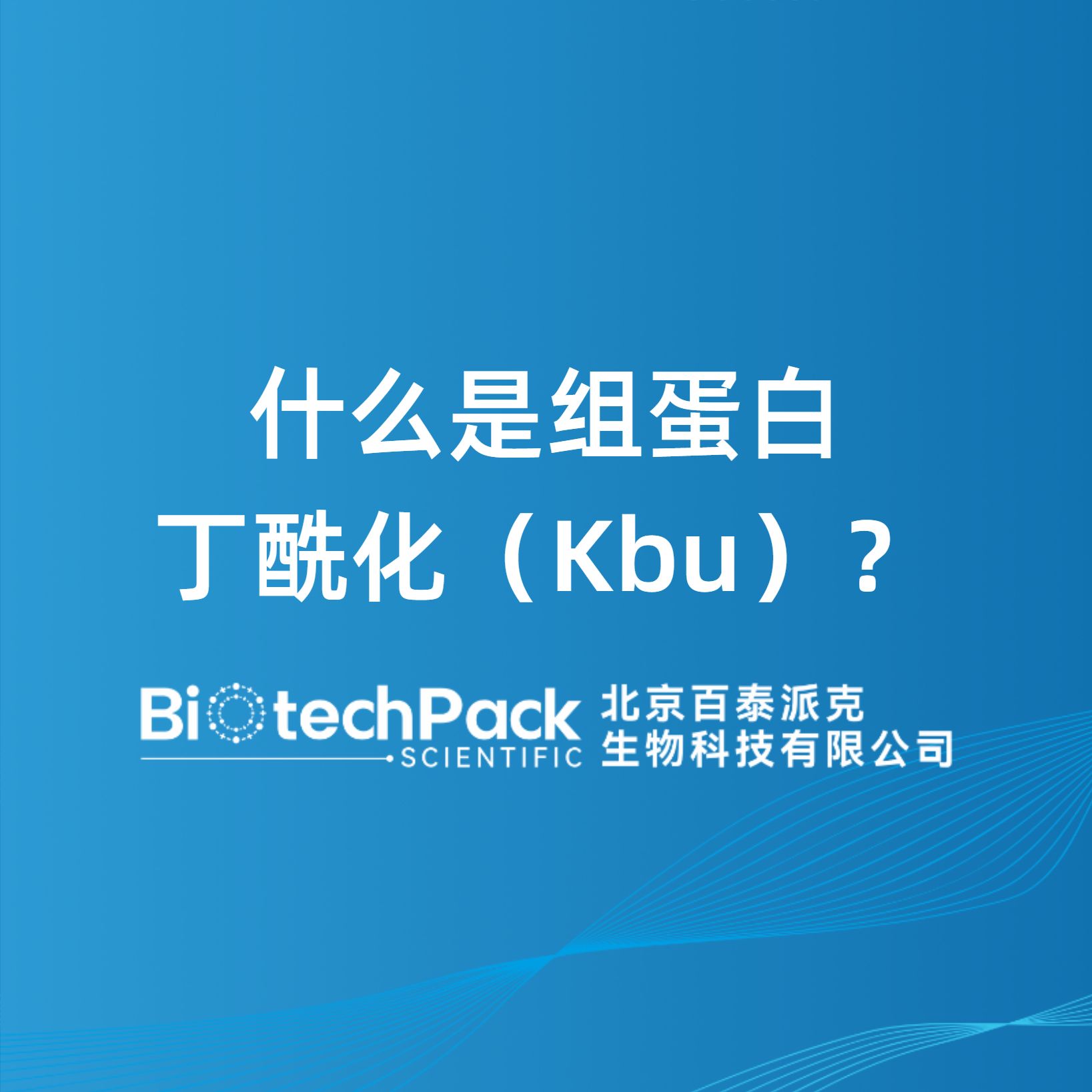 什么是組蛋白丁?；↘bu）？