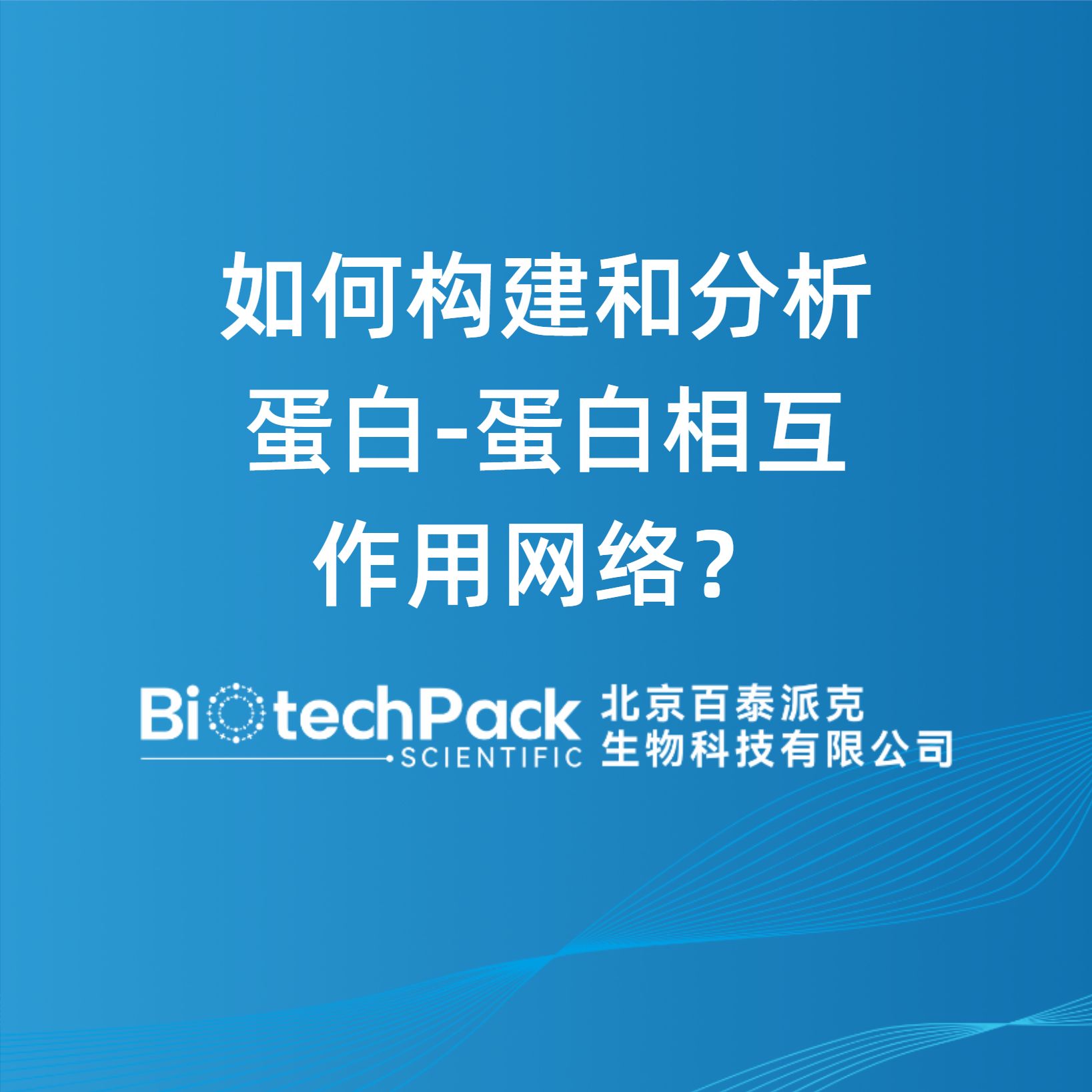 如何构建和分析蛋白-蛋白相互作用网络？