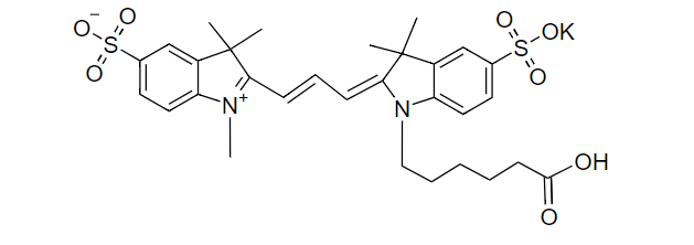 Sulfo-Cy3 羧酸