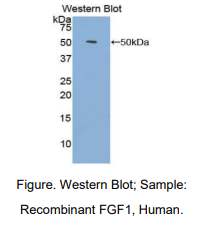 https://msimg.bioon.com/bionline/goods-no-pic.png