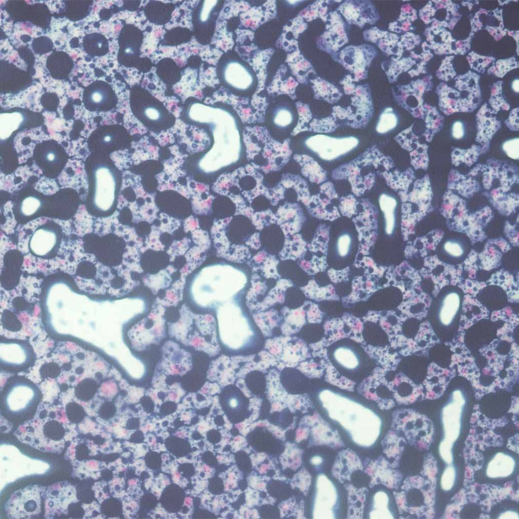 https://msimg.bioon.com/bionline/goods-no-pic.png
