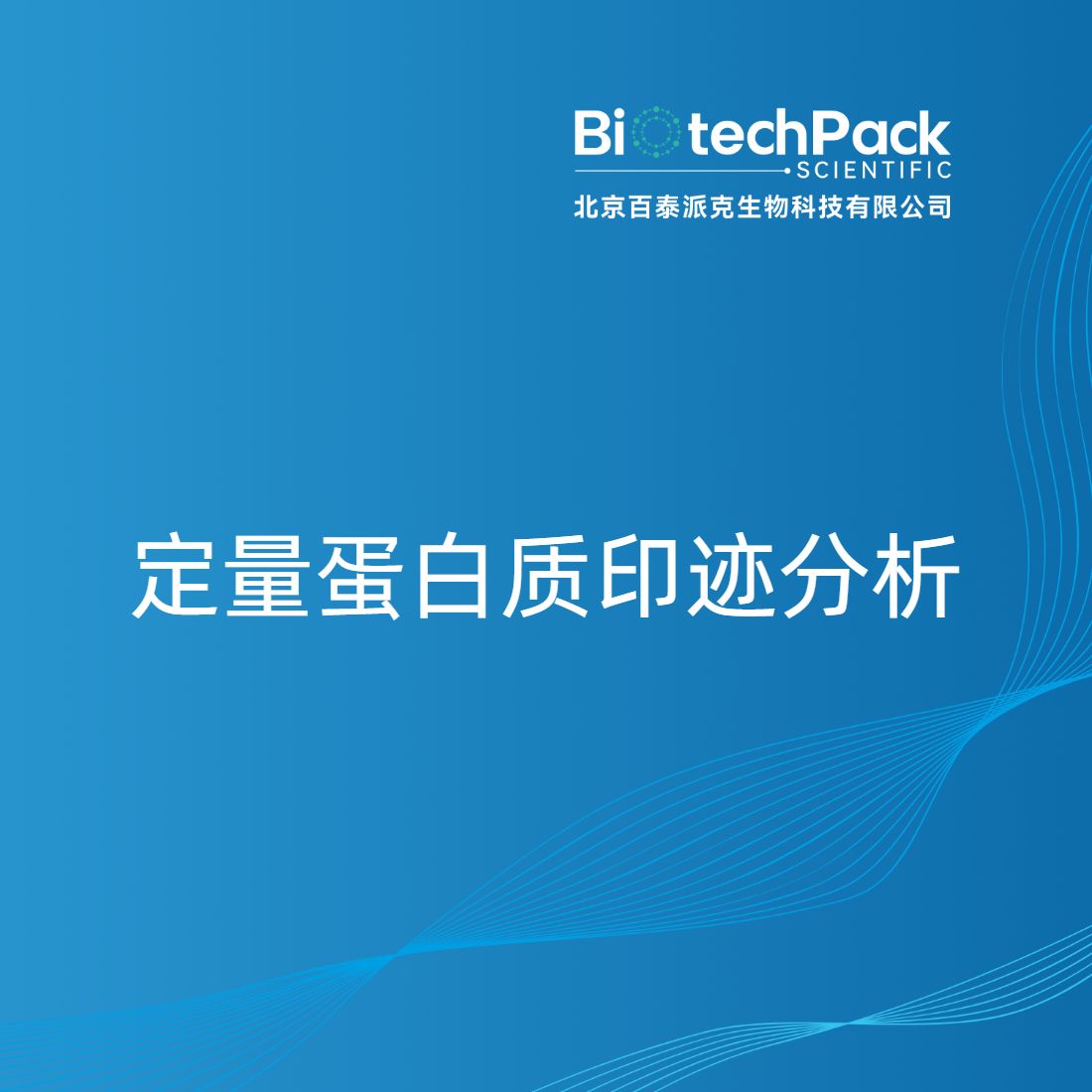 定量蛋白质印迹分析