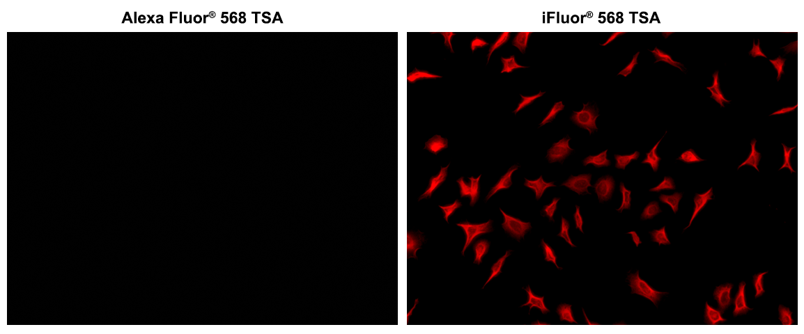 https://img.medsci.cn/e73eefcea40976357f460123cbf1e819c54e5106c9b457225be13b1cbc991aff.png