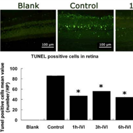 https://msimg.bioon.com/bionline/goods-no-pic.png