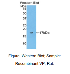 https://msimg.bioon.com/bionline/goods-no-pic.png