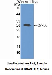 https://msimg.bioon.com/bionline/goods-no-pic.png