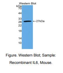 https://msimg.bioon.com/bionline/goods-no-pic.png