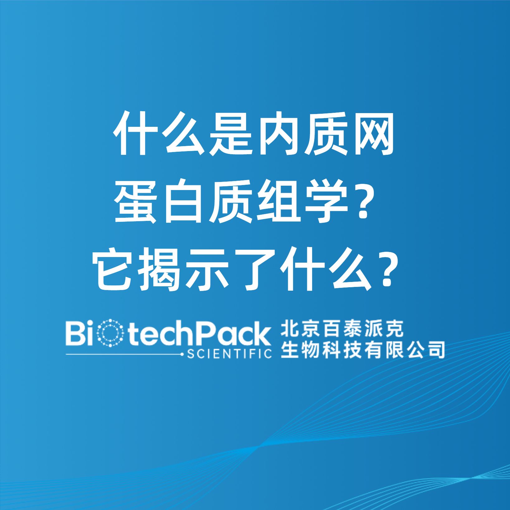 什么是內質網蛋白質組學？它揭示了什么？