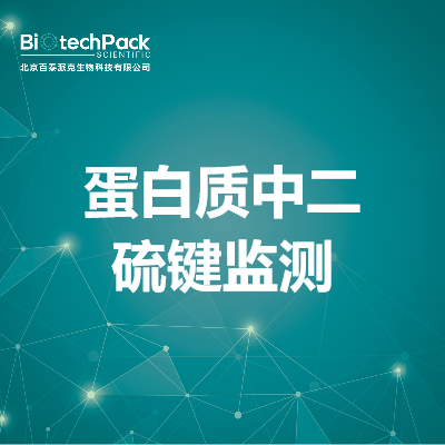 蛋白质中二硫键监测