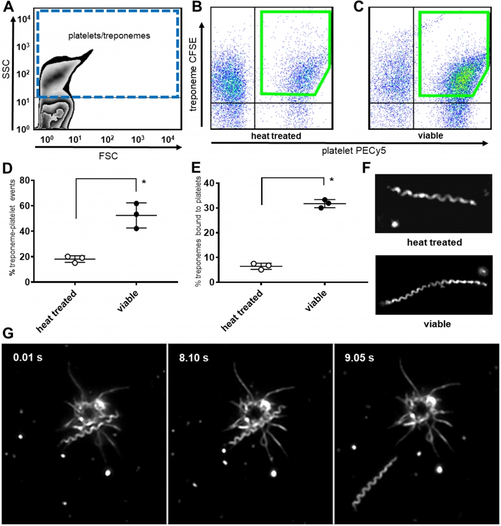 https://img.medsci.cn/e73eefcea40976357f460123cbf1e819c54e5106c9b457225be13b1cbc991aff.png