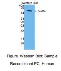 https://msimg.bioon.com/bionline/goods-no-pic.png