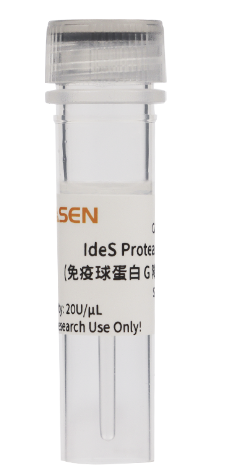 IdeS Protease（免疫球蛋白G降解酶）