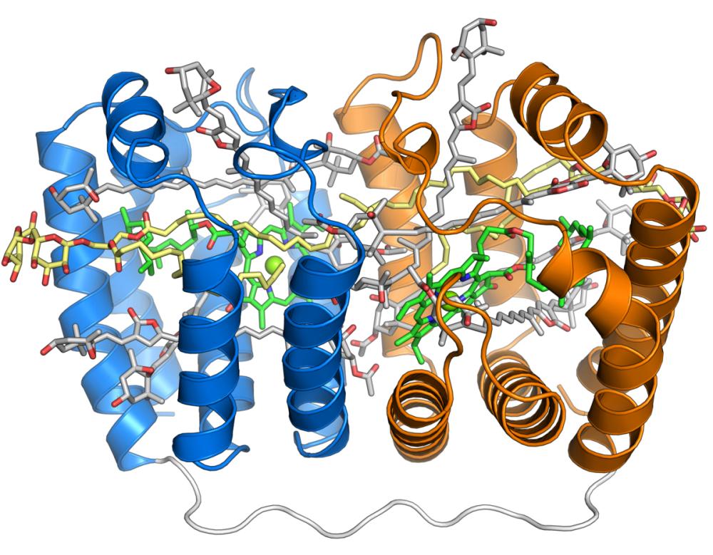 https://img.medsci.cn/e73eefcea40976357f460123cbf1e819c54e5106c9b457225be13b1cbc991aff.png