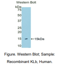 https://msimg.bioon.com/bionline/goods-no-pic.png