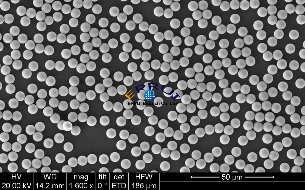 https://img.medsci.cn/1aa1c65de1edef0ddaf7f477798ed81f23bad858dba122b66fbdac9109da5ae0.png