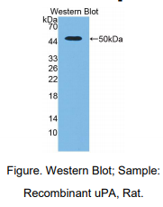 https://msimg.bioon.com/bionline/goods-no-pic.png