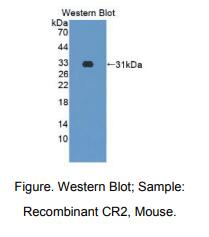 https://msimg.bioon.com/bionline/goods-no-pic.png