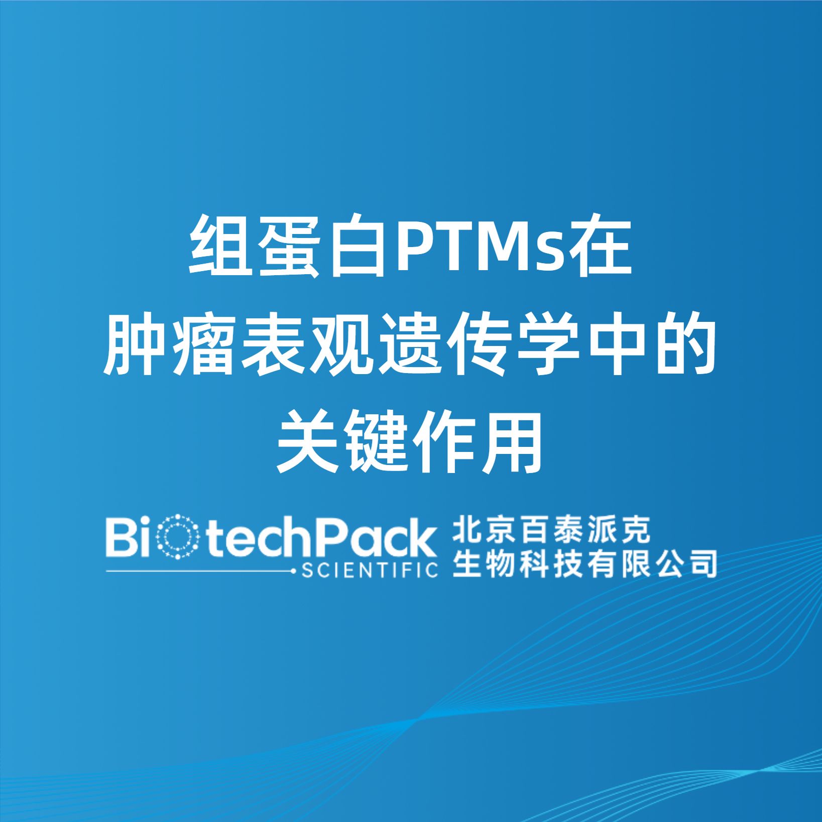 组蛋白PTMs在肿瘤表观遗传学中的关键作用