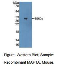 https://msimg.bioon.com/bionline/goods-no-pic.png