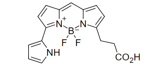 碘化丙啶PI CAS 25535-16-4