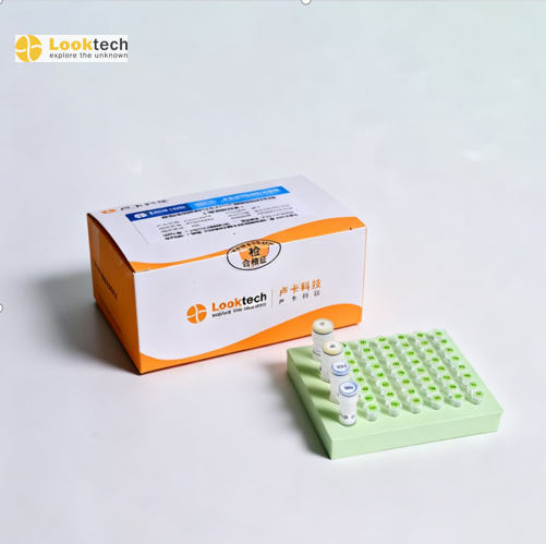 对虾传染性皮下及造血组织坏死症病毒(IHHNV)核酸检测试剂盒（实时荧光PCR法）