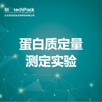 蛋白质定量测定实验