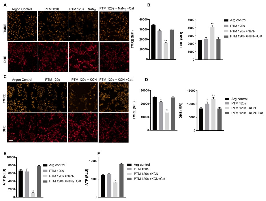 https://img.medsci.cn/e73eefcea40976357f460123cbf1e819c54e5106c9b457225be13b1cbc991aff.png