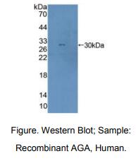 https://msimg.bioon.com/bionline/goods-no-pic.png