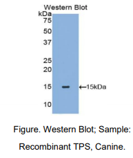 https://msimg.bioon.com/bionline/goods-no-pic.png