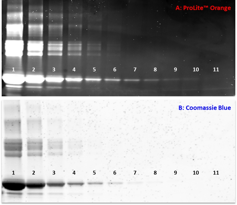 https://img.medsci.cn/e73eefcea40976357f460123cbf1e819c54e5106c9b457225be13b1cbc991aff.png